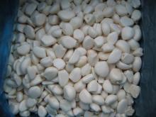 frozen peeled garlic clove quality agriculture wholesale china natural garlic