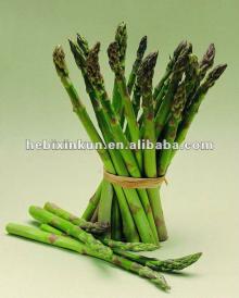 2012 chinese spring  fresh   asparagus 