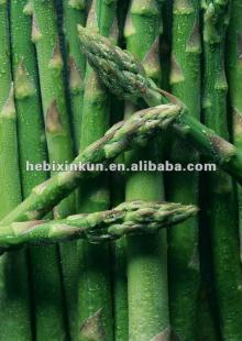2012 Hot sale chinese fresh  asparagus 