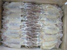 dried squid