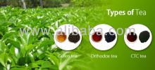 ORTHODOX TEA- Broken, Fannings, Dust