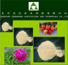 100% Tea Seed Saponin Powder Of Tea Seed Extract / tea seed meal with/ without straw