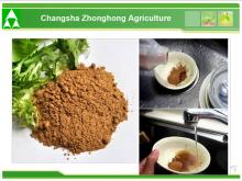Tea Seed Extract Powder/Tea Saponin 95%