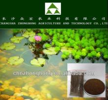 New arrival/Tea seed saponin powder/High quality tea seed saponin powd