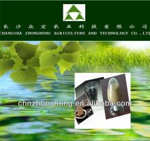 New Arrival/Tea seed extract power/High quality natural tea saponin powder 60%,95%,98% saponin
