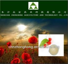 Hot product/Best price green tea seed extract power/Pure natural tea saponin powder