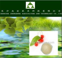 tea saponin powder organic fertilizer/ tea seed meal without straw/ tea seed powder