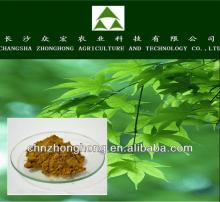 Hot product/Green tea seed extract powder/Pure natural tea saponin powder 60%,95%,98% saponin/Pond c