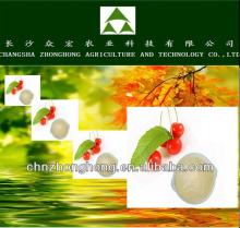 Best price green tea seed extract powder/Pure natural tea saponin powder 60%,95%,98% saponin/Pond cl