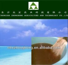 Regined quality green tea seed extract powder/Pure natural tea saponin powder 60%,95%,98% saponin/Po