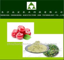 tea saponin powder the best green product