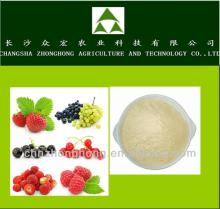 international standard tea saponin powder the best green product from Zhonghong