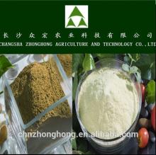  New   arrival /Tea seed powder/Tea seed saponin powder in bulk