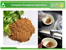 organic green tea powder