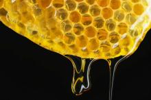 EU Standard - Premium Quality Natural Honey