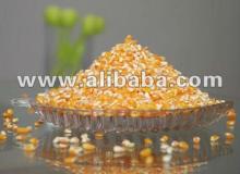  yellow  maize  grits 