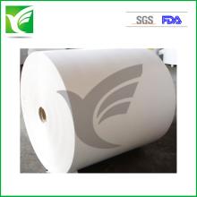pe coated  paper  in  roll 