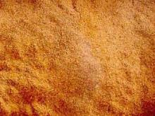 Vietnam cinnamon/cassia powder (high quality)