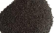 BASIL SEEDS