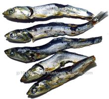 Niboshi (dried sardines) P10kg Box for Ramen Noodle Cuisine