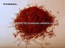 iranian safflower carthamus