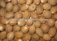 Nutmeg