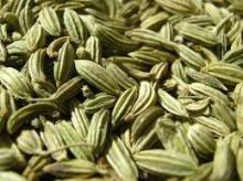 Europe Quality Fennel Seed For South Africa
