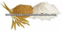 Indian Wholesale Wheat Flour