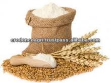 Wheat Flour Exporter From India