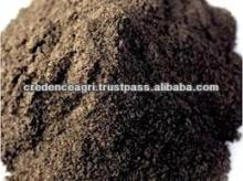 Indian Black Pepper Powder Price