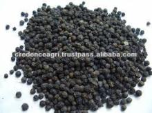 Specification Of Black Peppers Seeds