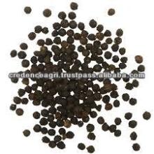 Specification Of Black Pepper Seeds