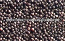 Black Peppers Seeds Specification