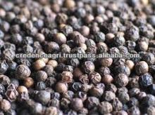 Indian Black Peppers Selling Price