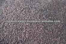 Indian Black Pepper Selling Price