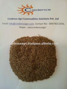 singapore  quality   cumin   seeds  from india