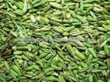 fennel export price