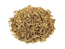 kemun (cumin),India credence price supplier - 21food