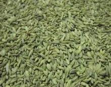 Top indian exporter of fennel