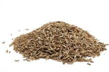99% Europe Quality Cumin Seeds For Egypt