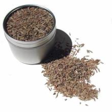 99% Europe Quality Cumin Seeds For Israel