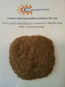 99.5% Europe Quality Cumin Seeds For Egypt
