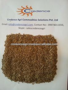  Cumin   seeds  from  india 