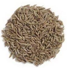 Bulk 98% Singapore Quality Cumin Seeds