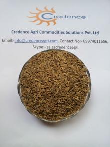 98% Europe Quality Cumin Seeds Standard Specification