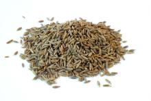99% Singapore Quality Cumin Seeds From India