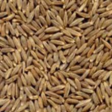 98% Singapore Quality Cumin Seeds For  Egypt 