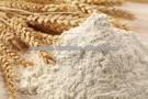 wheat flour manufacturer