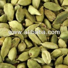 Cardamom