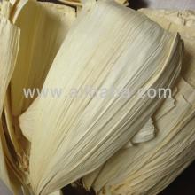 Tamale leafs or Corn Husks